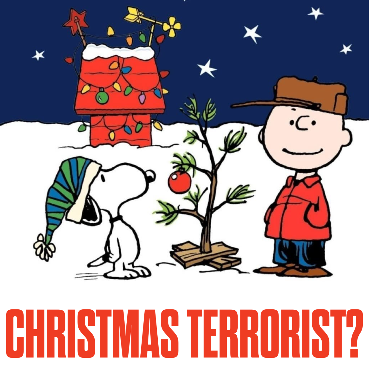 Charlie Brown and Snoopy from the famous Charlie Brown Christmas movie. 